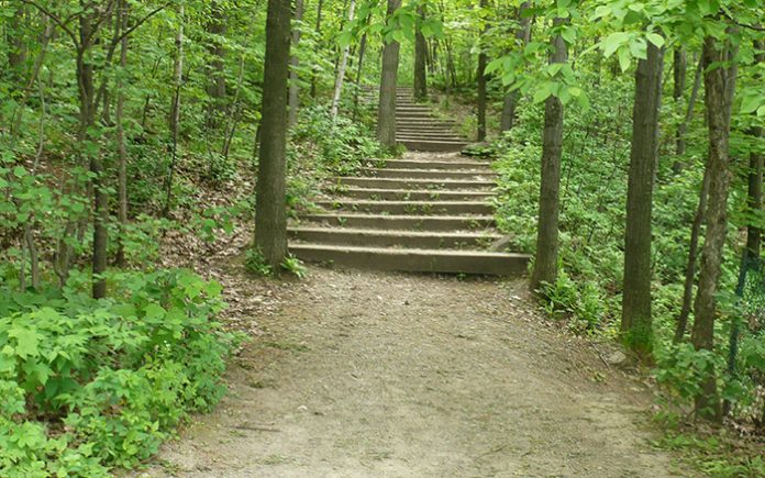 rencontre roux mont royal